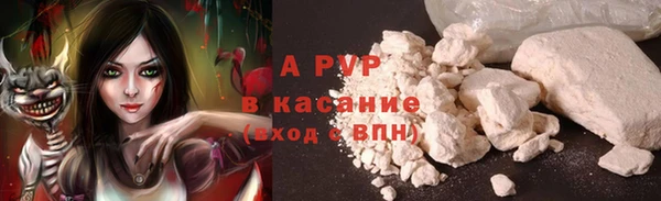 ПСИЛОЦИБИНОВЫЕ ГРИБЫ Нефтекумск