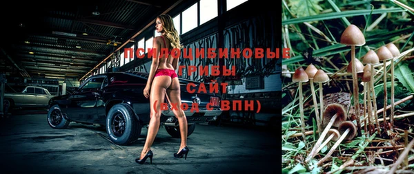 круглые Новодвинск