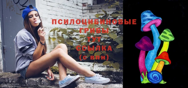 круглые Новодвинск