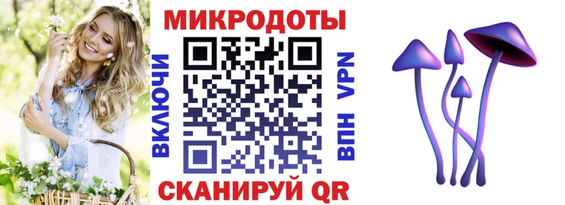 Галлюциногенные грибы мицелий закладка Миллерово