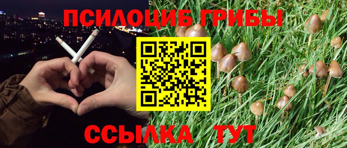 Миллерово  Галлюциногенные грибы ЛСД  Вход с VPN 